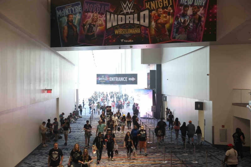 WWE World show entrance