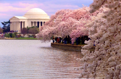 International Association of Exhibitions and Events Launches First-ever Exhibitions Day in D.C.